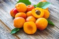 Organic apricots with leaves Royalty Free Stock Photo