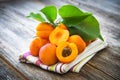 Organic apricots with leaves Royalty Free Stock Photo