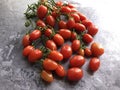 Organic, aromatic plum or paste tomatoes on te vine. Datterini cherry tomatoes. Royalty Free Stock Photo