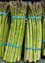 Organic Asparagus Royalty Free Stock Photo