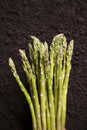 Organic Asparagus Cluster Royalty Free Stock Photo