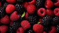 organic assorted raspberries and blackberries, fresh ripen ecological berries