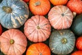 Organic healthy orange and green pumpkin flat lay Royalty Free Stock Photo