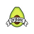 Organic avocado illustration on white background. Organic food banner