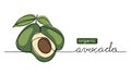Organic avocado vector doodle, sketch. One continuous line drawing