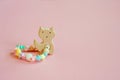Organic baby teethers  on pink background with copy space. Wooden animal toys set for babies. Baby accessories soother, wo Royalty Free Stock Photo