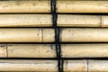 Organic bamboo background