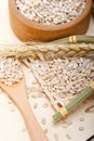 Organic barley grains Royalty Free Stock Photo
