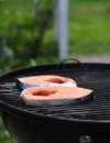 organic bbq grill picnic salmon