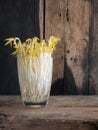 The organic beansprout. Royalty Free Stock Photo