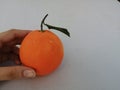 Organic beautiful orange whith leave