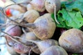 Organic beet on sale at the local farmers` market. Royalty Free Stock Photo