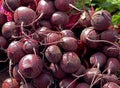Organic beetroot Royalty Free Stock Photo