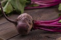 Organic Beetroot,red beetroot with herbage green leaves on rustic background