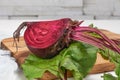Organic beetroot vegetable / fresh red beet root harvested on wooden board