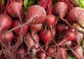 Organic Beets Royalty Free Stock Photo