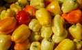 organic bell peppers harvested and put up for sale Royalty Free Stock Photo