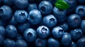 organic berries, fresh ripen ecological blueberries