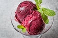 Organic Berry Sorbet Ice Cream Balls in Cup Ready to Eat. Royalty Free Stock Photo