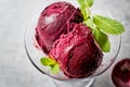 Organic Berry Sorbet Ice Cream Balls in Cup Ready to Eat. Royalty Free Stock Photo