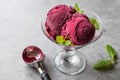 Organic Berry Sorbet Ice Cream Balls in Cup Ready to Eat. Royalty Free Stock Photo