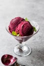 Organic Berry Sorbet Ice Cream Balls in Cup Ready to Eat. Royalty Free Stock Photo