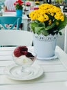 Organic Berry Sorbet Ice Cream Balls in Glass Cup with Flower Background. Royalty Free Stock Photo