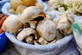 Organic big champignon mushrooms sold at local market. Royalty Free Stock Photo