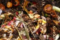 Organic biological kitchen waste