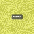 Organic, Biological Turing lines pattern