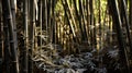 Organic Black Bamboo Sticks: A 3d Image With Basalt Fiber