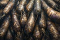 Organic Black Carrots Closeup Texture Background Fresh Harvest, Natural Root Vegetables, Healthy Eating Royalty Free Stock Photo