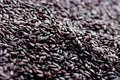 Organic black nerone rice background Royalty Free Stock Photo