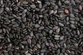 Organic black Sesame seeds in high close up.