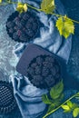 Organic blackberries in baking forms, ripe blackberries Royalty Free Stock Photo