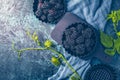Organic blackberries in baking forms, ripe blackberries Royalty Free Stock Photo