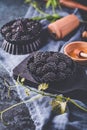 Organic blackberries in baking forms, ripe blackberries Royalty Free Stock Photo