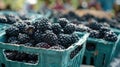 Organic blackberries on the market