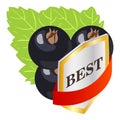 Organic blackcurrant icon isometric vector. Black currant and best quality sign