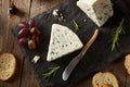 Organic Blue Cheese Wedge Royalty Free Stock Photo