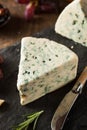 Organic Blue Cheese Wedge Royalty Free Stock Photo