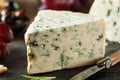 Organic Blue Cheese Wedge Royalty Free Stock Photo