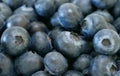 Organic Blueberries Royalty Free Stock Photo