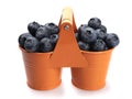 Organic blueberries in two orange buckets, on a white background. Royalty Free Stock Photo