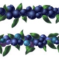 Organic blueberry concept background, cartoon style