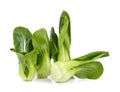 Organic bok choy isolated on white background Royalty Free Stock Photo