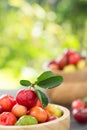 Organic Brazilian Acerola Fruit small cherry. Royalty Free Stock Photo