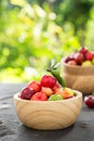 Organic Brazilian Acerola Fruit small cherry. Royalty Free Stock Photo