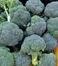 Organic Broccoli