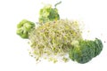 Organic Broccoli Sprouts And Bouquets